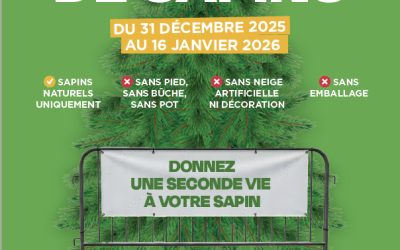 Collecte de Sapins du 31/12/2025 au 16 /01/2026 – Salle omnisports